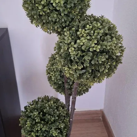 Kuca Za Odmor Dinko, Sucici, *